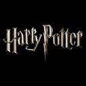 Harry Potter and the Half-Blood Prince (video game)